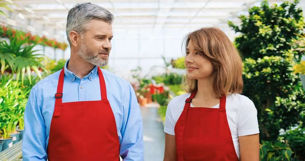 Divorce and the Business